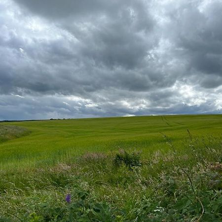 Willow Cottage Kinloss Dış mekan fotoğraf